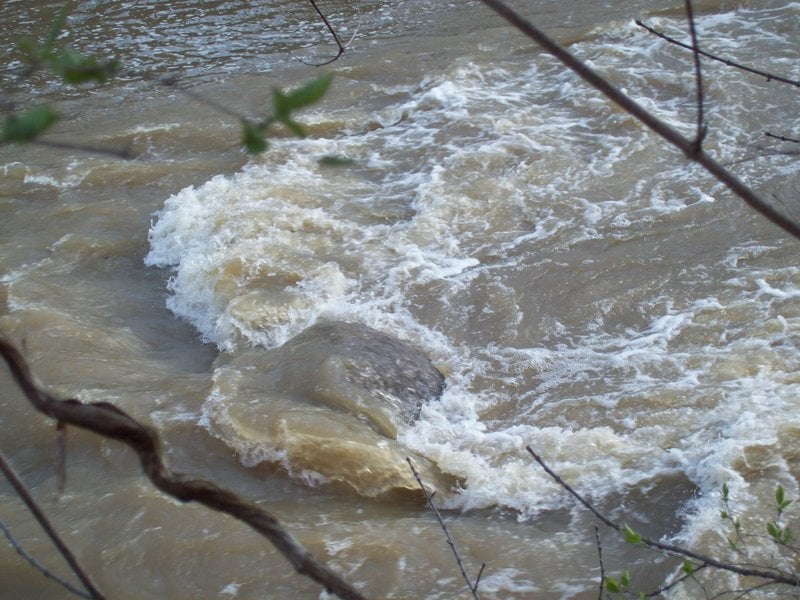 Round Rock