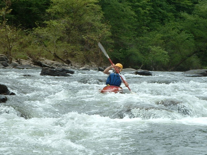 Bill on the Emory