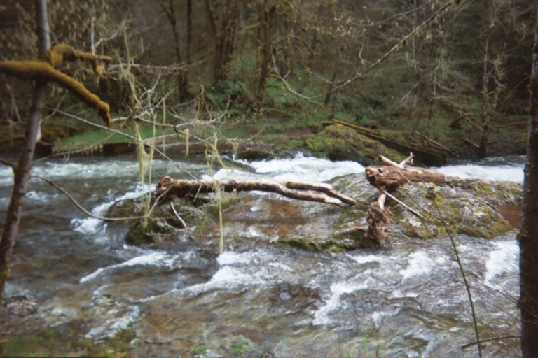 coweeman/old fish ladder area