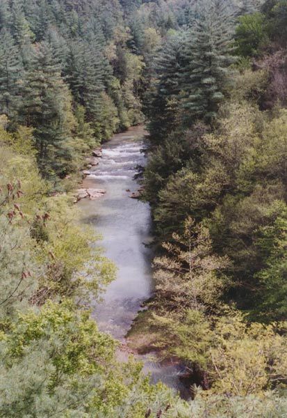 Falls of Red River