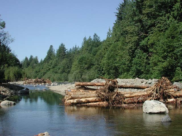 Engineered Log Jam