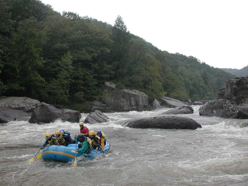 Tumblehome