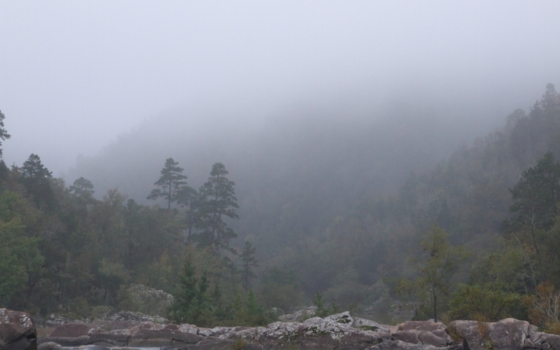 Foggy Falls