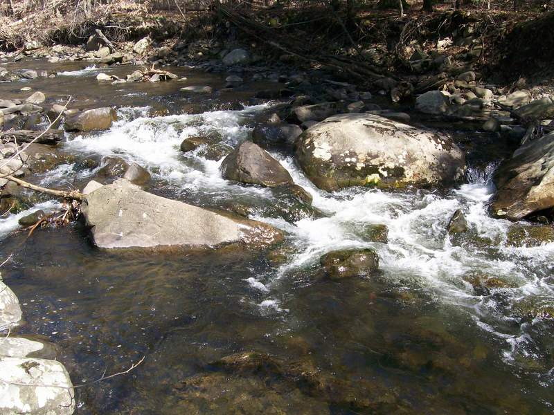 rapid directily above gauge