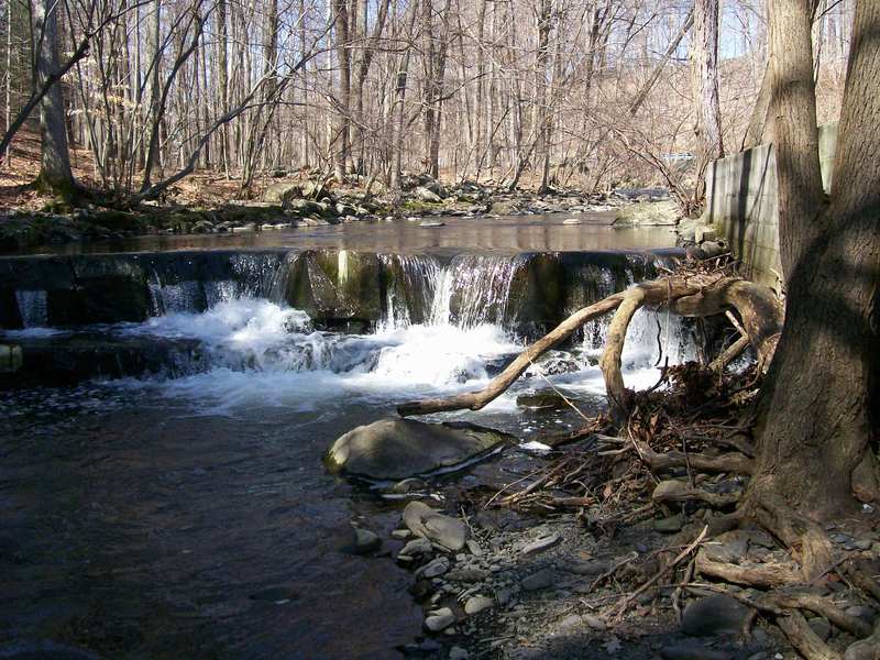 clove brook boof, behind the old resturant