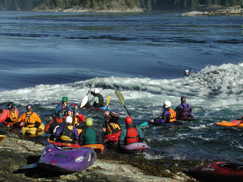 Gathering on the Rocks at Skook