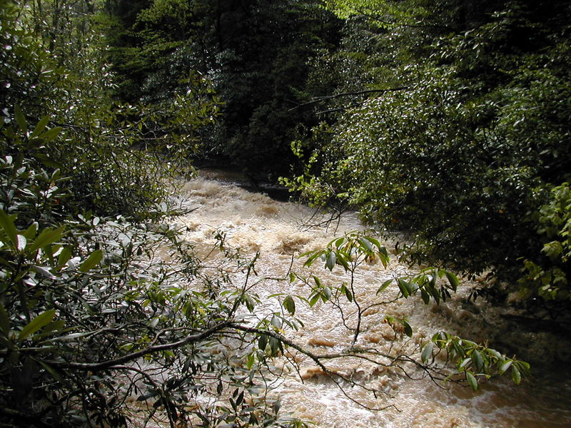 Fourth Drop? - Middle Creek, NC