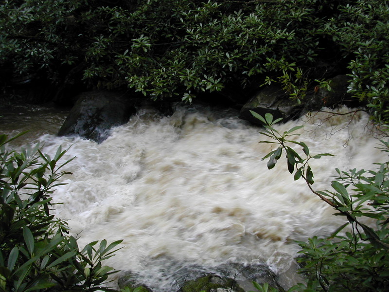 Another Drop - Middle Creek, NC