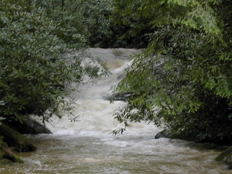 Looking upstream at Another Drop - Middle Creek, NC