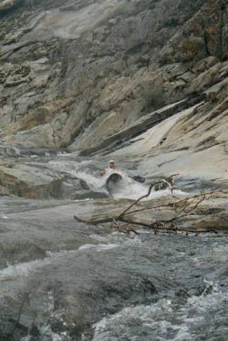Brush Creek - Penny
