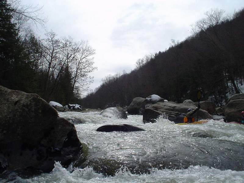 Last Rapid