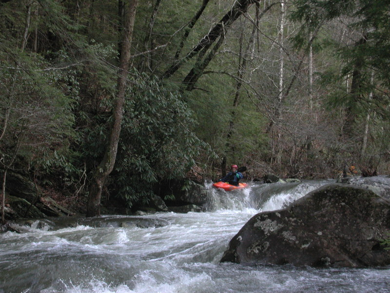 Citico Rapid
