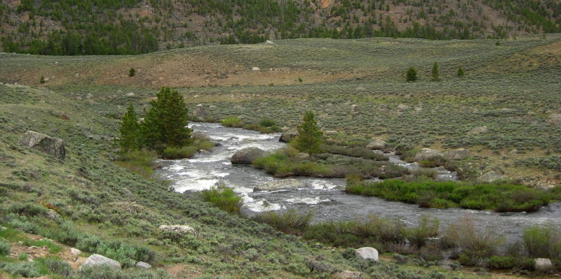 Taylor River  @01. 748 Bridge to Pieplant Ranch