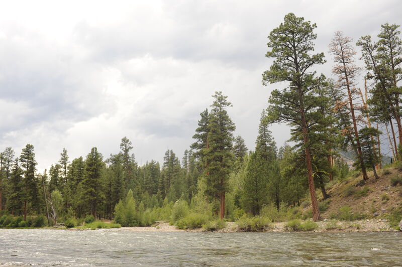 Indian Creek Camp (RL)