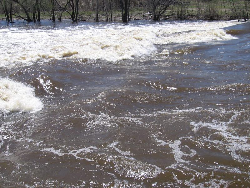 Upstream/river-left at Estabrook Park Ledge