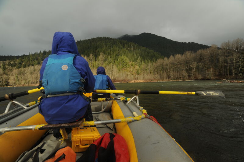 Aki on the Oars
