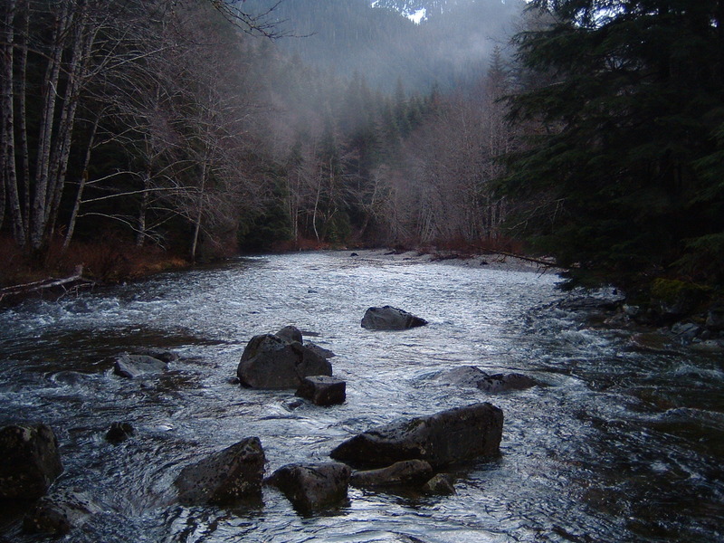 View upstream from the put-in, just before the first IV-IV+