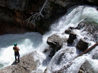 Assessing the 20 footer