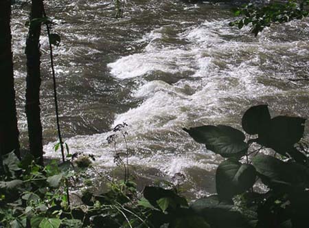 Ledges