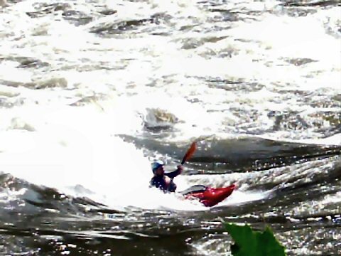 Tahiti Rapid