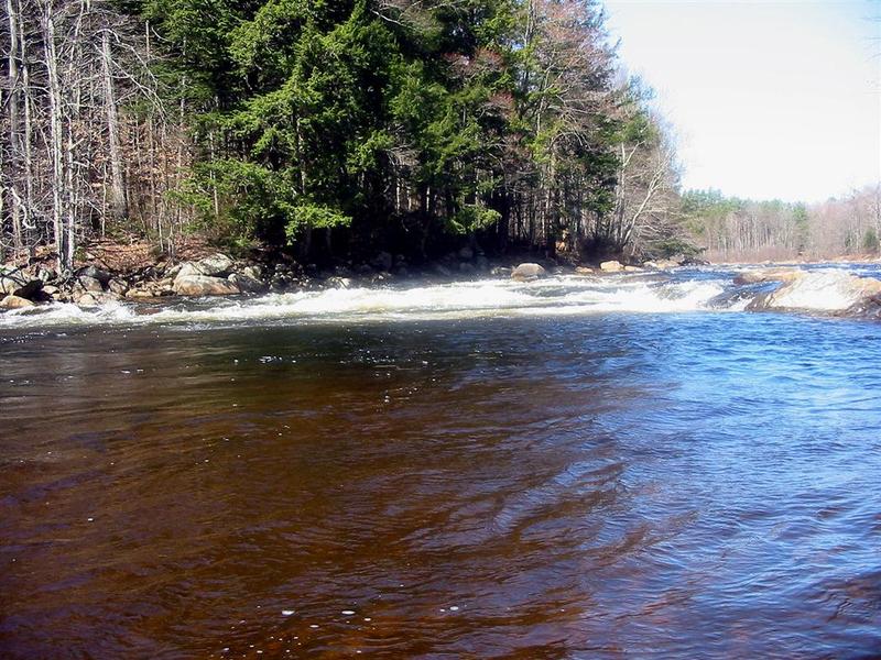 First Rapid