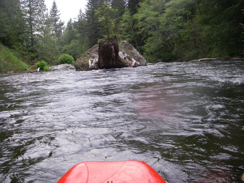 turtle rock