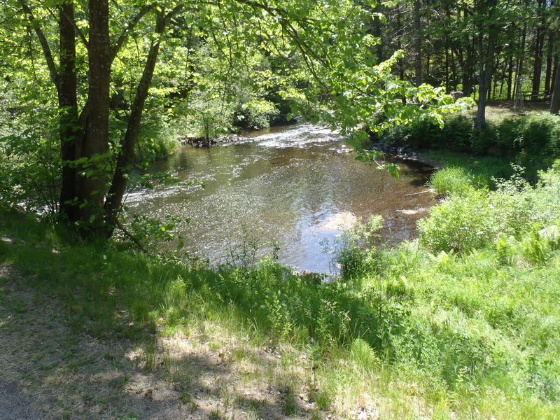 Tar Dam Rd Put-in