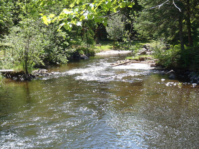 Tar Dam Rd Put-in