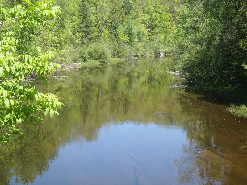 5/29/10 - ~70cfs
