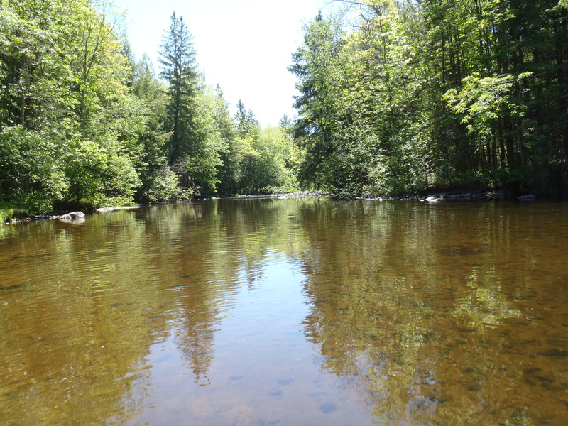 5/29/10 - ~70cfs