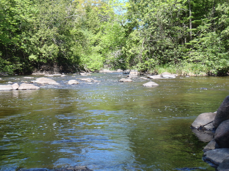 5/29/10 - ~70cfs