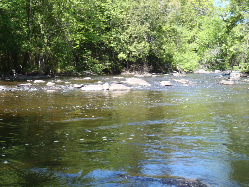 5/29/10 - ~70cfs