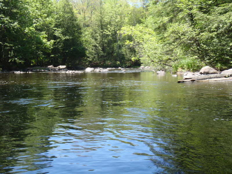 5/29/10 - ~70cfs