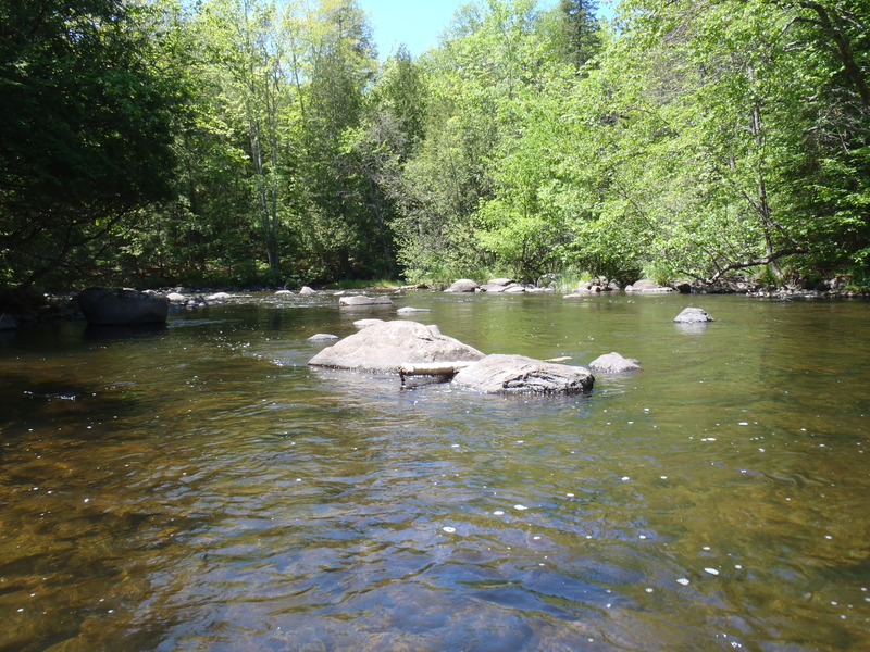 5/29/10 - ~70cfs