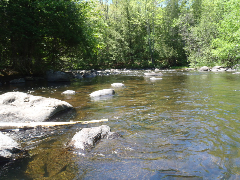 5/29/10 - ~70cfs