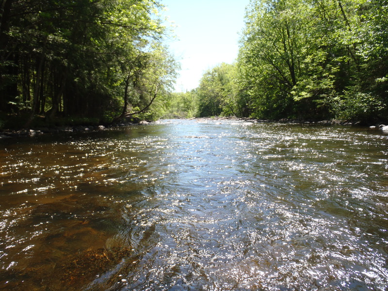 5/29/10 - ~70cfs