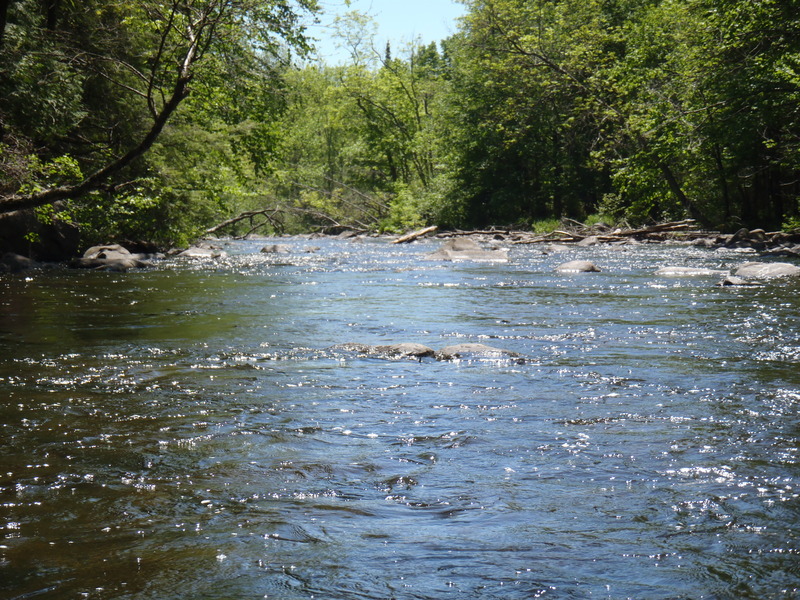 5/29/10 - ~70cfs