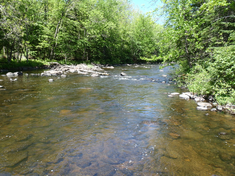 5/29/10 - ~70cfs
