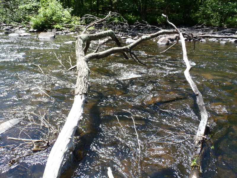 5/29/10 - ~70cfs
