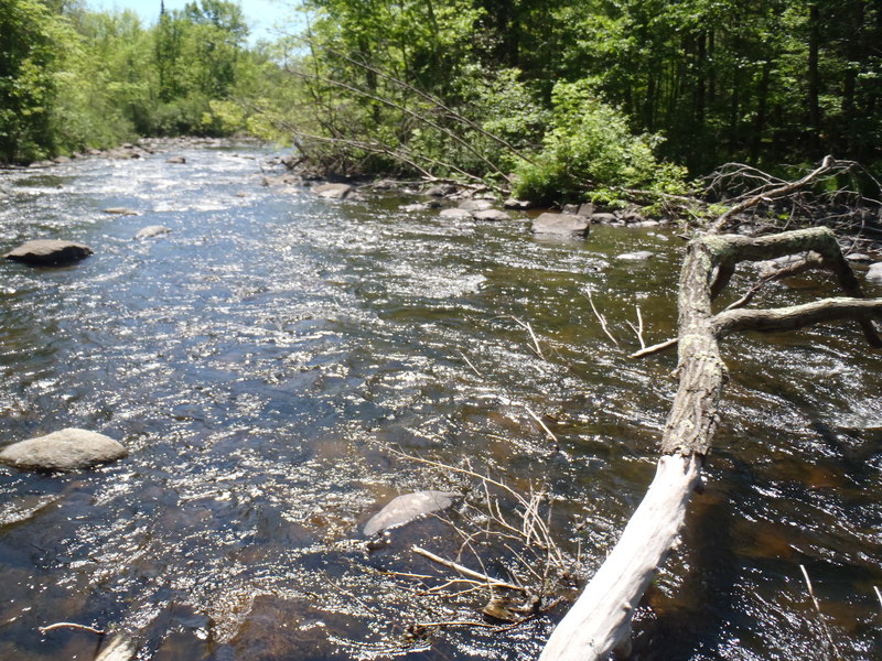 5/29/10 - ~70cfs
