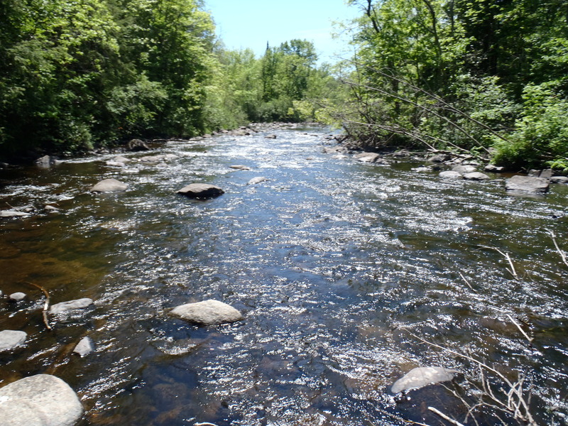 5/29/10 - ~70cfs