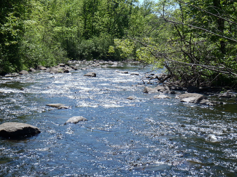 5/29/10 - ~70cfs