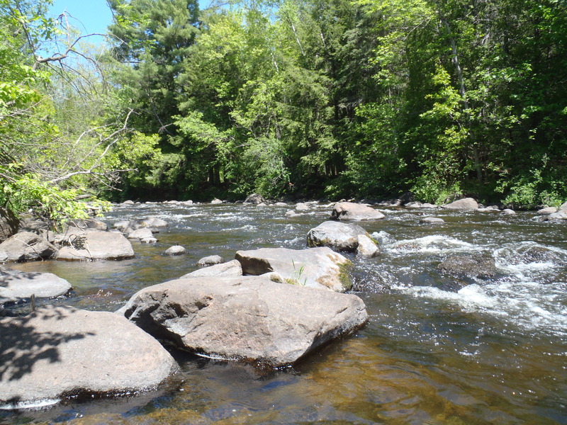 5/29/10 - ~70cfs
