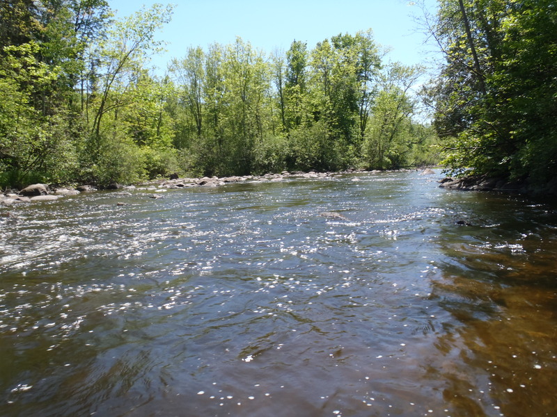 5/29/10 - ~70cfs