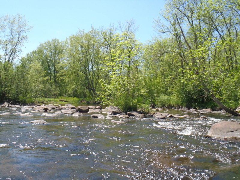 5/29/10 - ~70cfs