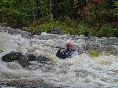 Surprise Rapid
