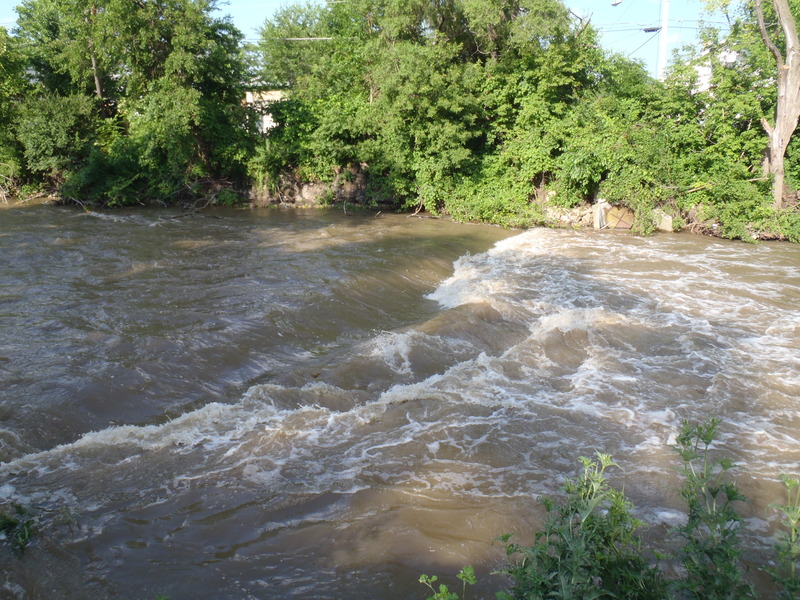 first wave upstream of wingdam ~1300cfs, 6/24/10
