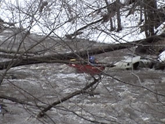 Ducking under the tree