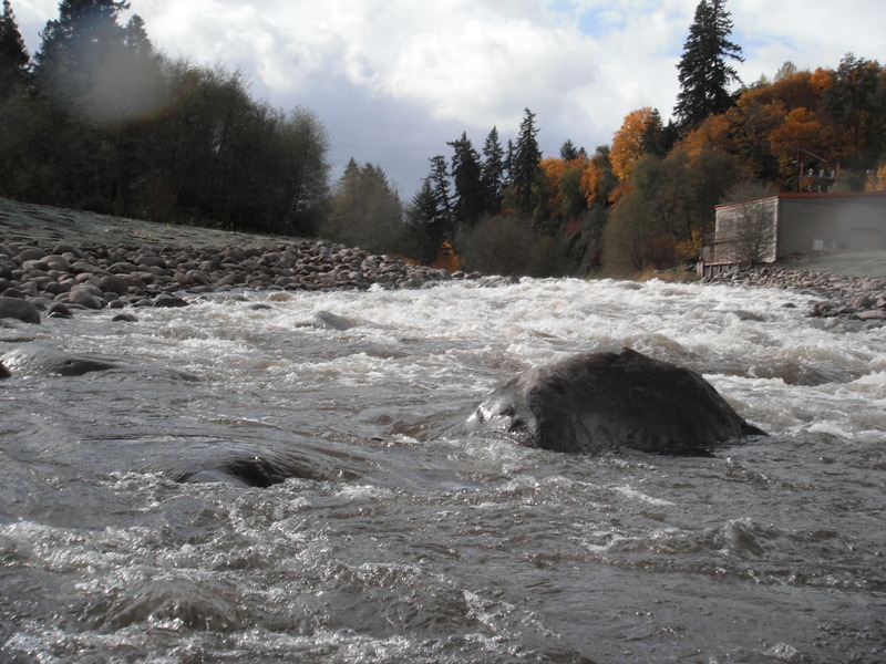 Looking up from base of "Dam Rapid"