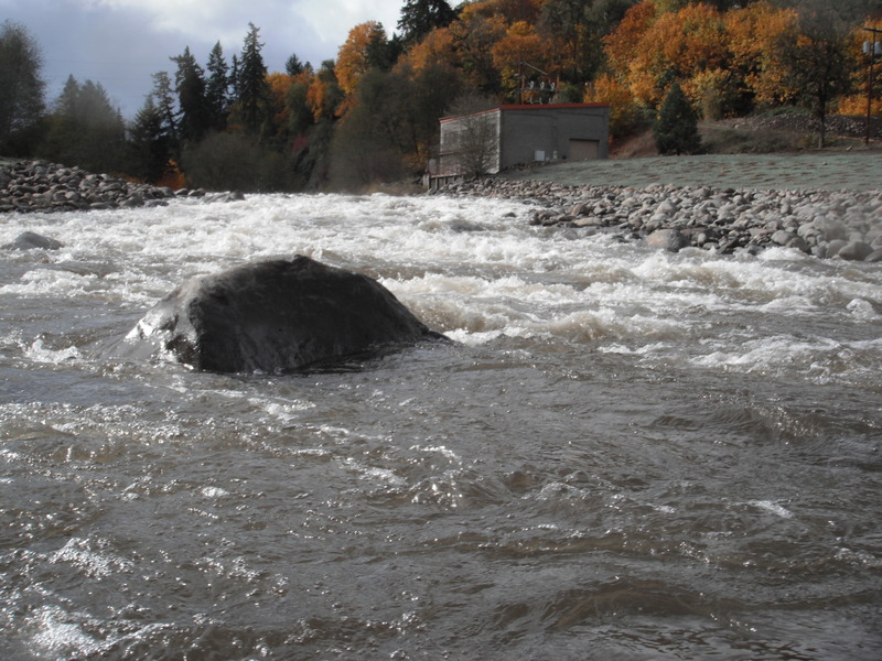 Looking up from base of "Dam Rapid"